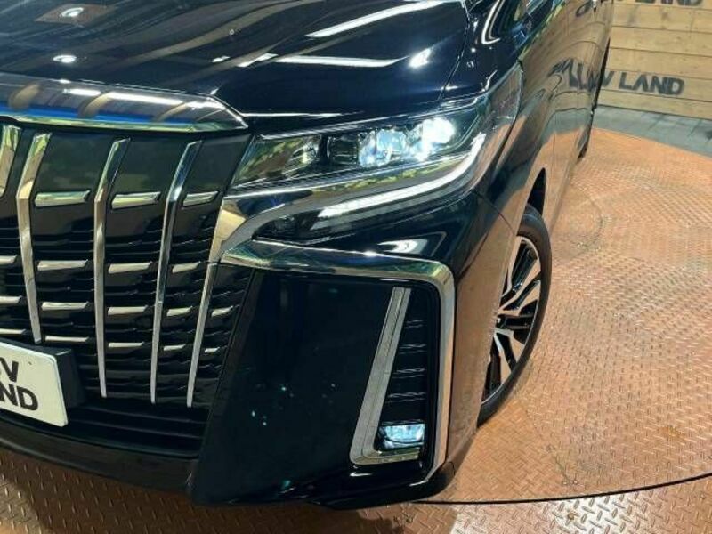 ALPHARD-8