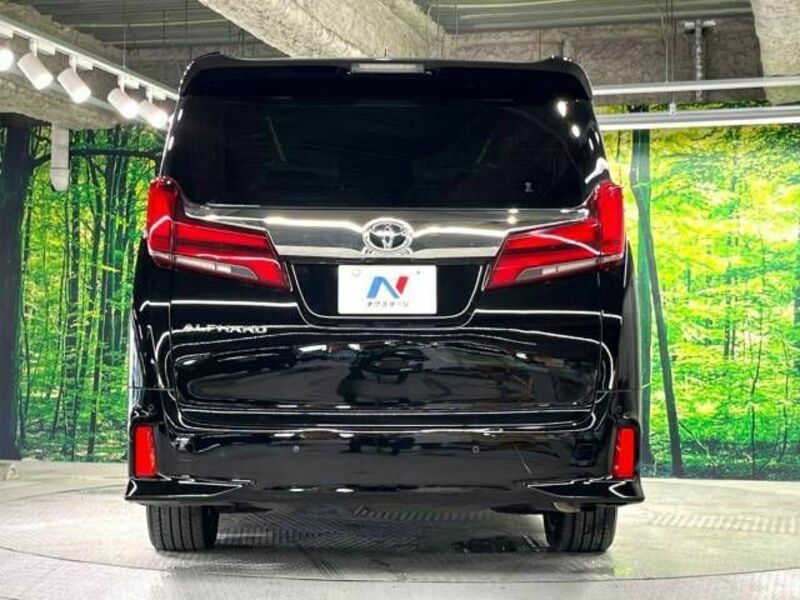 ALPHARD-16