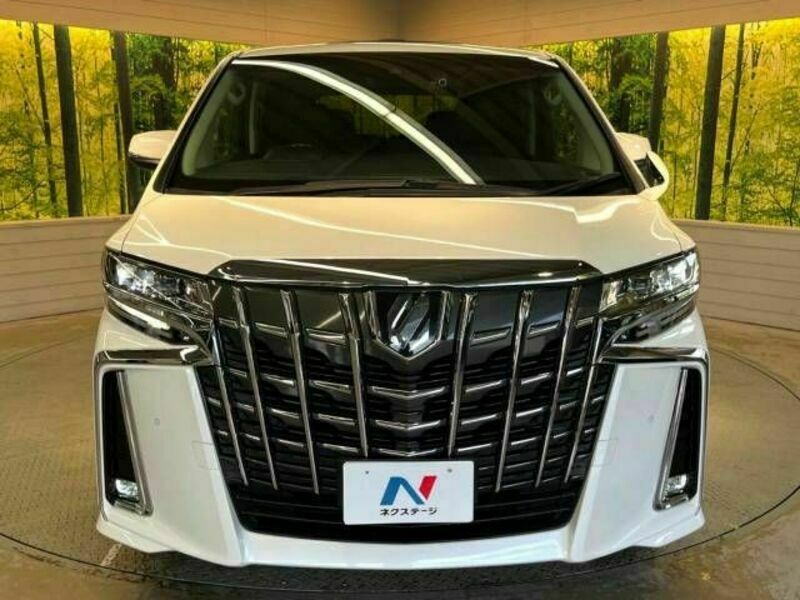 ALPHARD-15