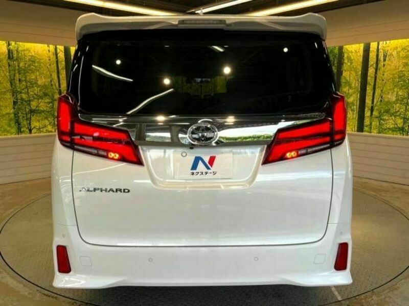 ALPHARD-16