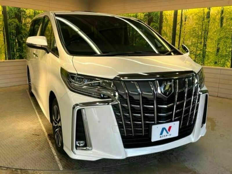 ALPHARD-17