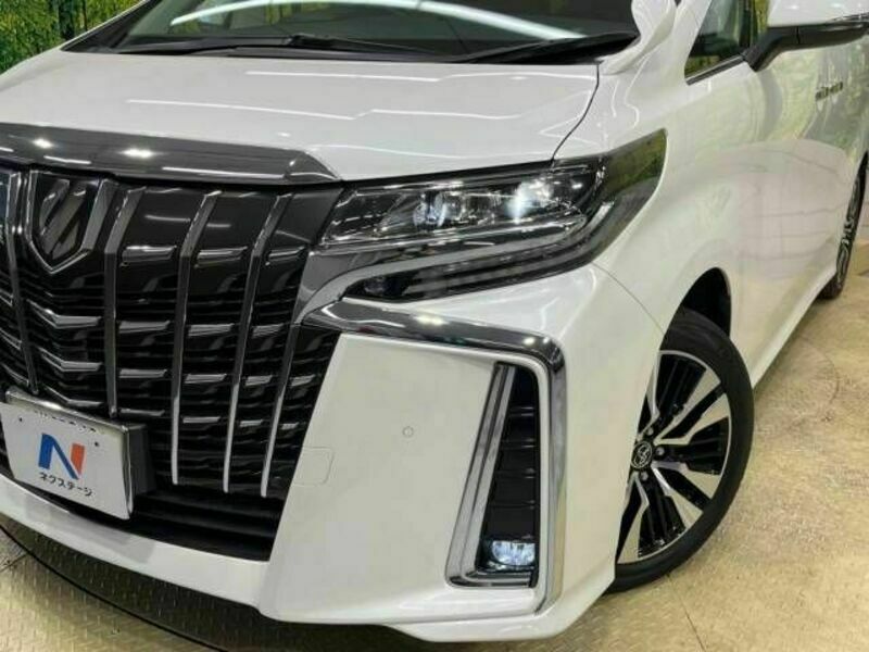 ALPHARD-13