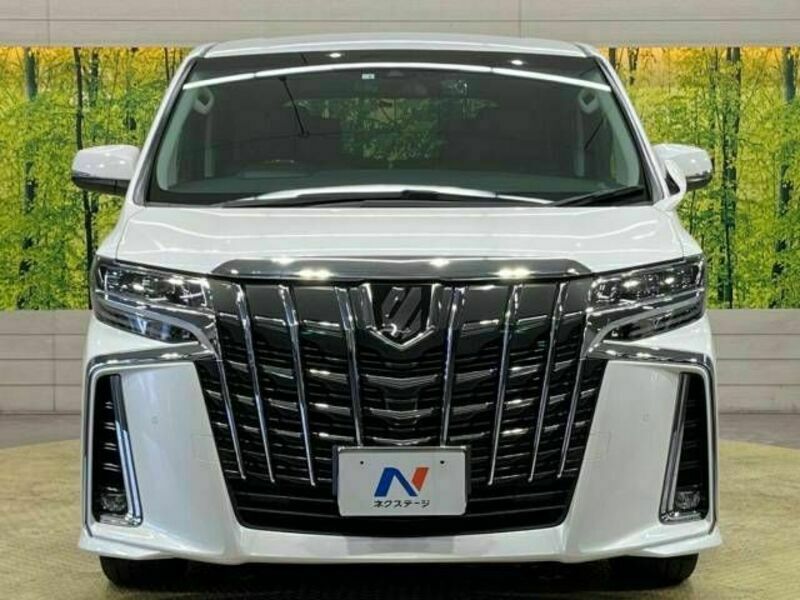 ALPHARD-15