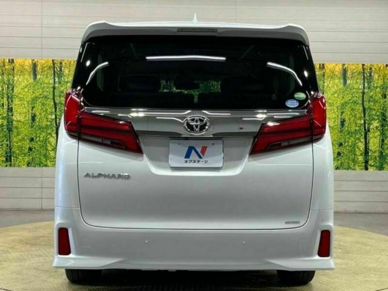 ALPHARD-16