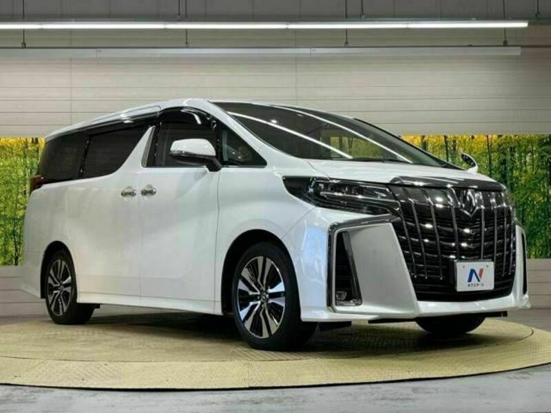 ALPHARD-17