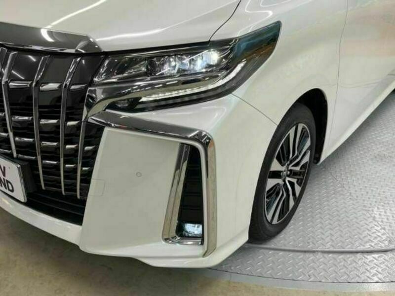 ALPHARD-12