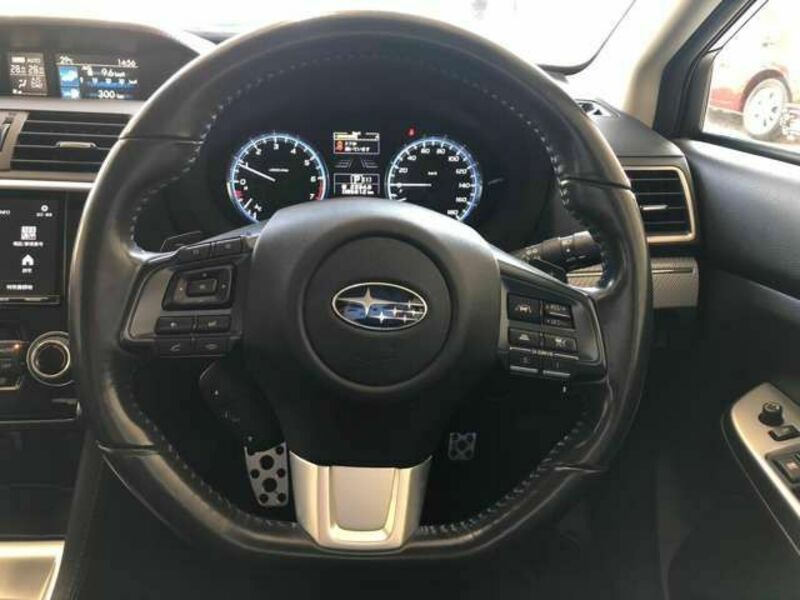 LEVORG-17