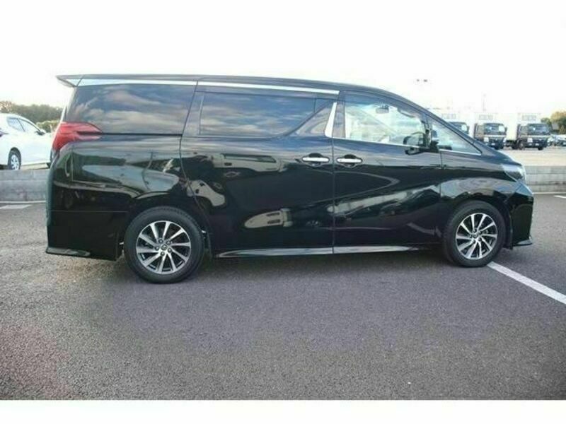 ALPHARD-10