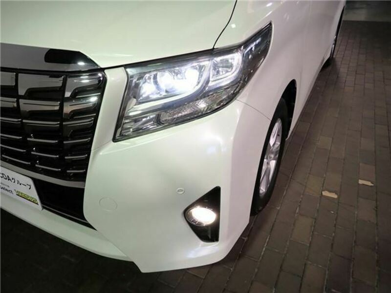 ALPHARD-6