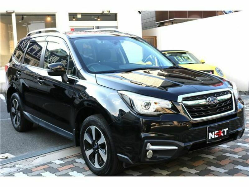 FORESTER-1