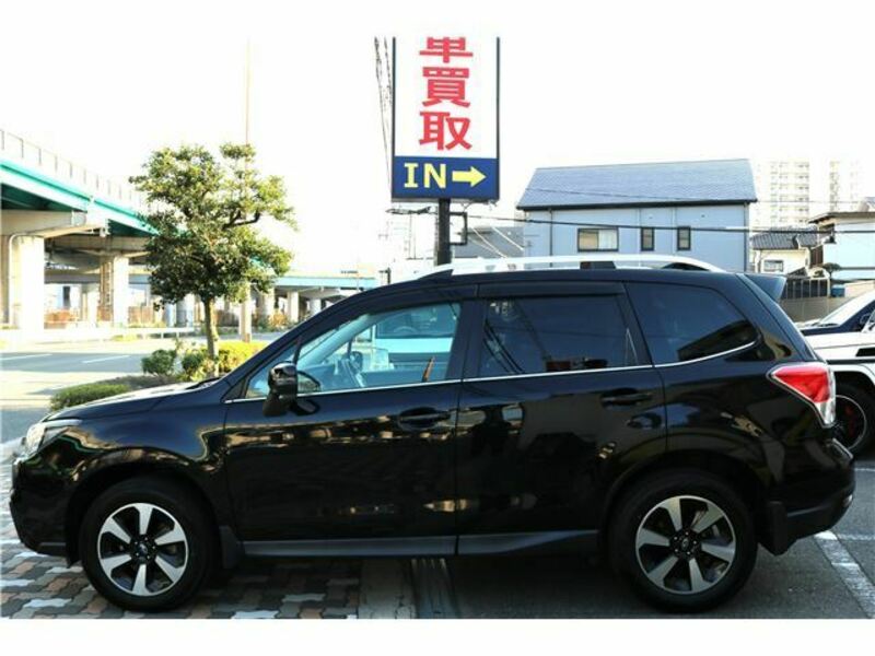 FORESTER-6