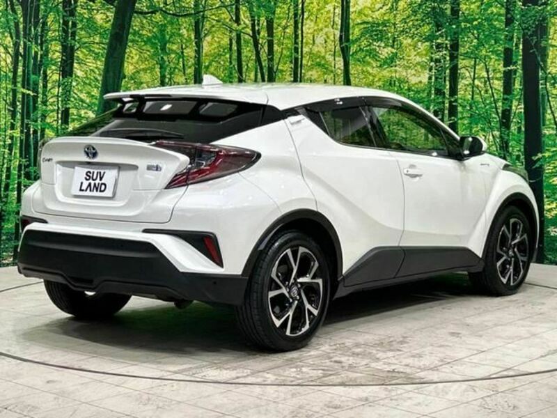 C-HR-1