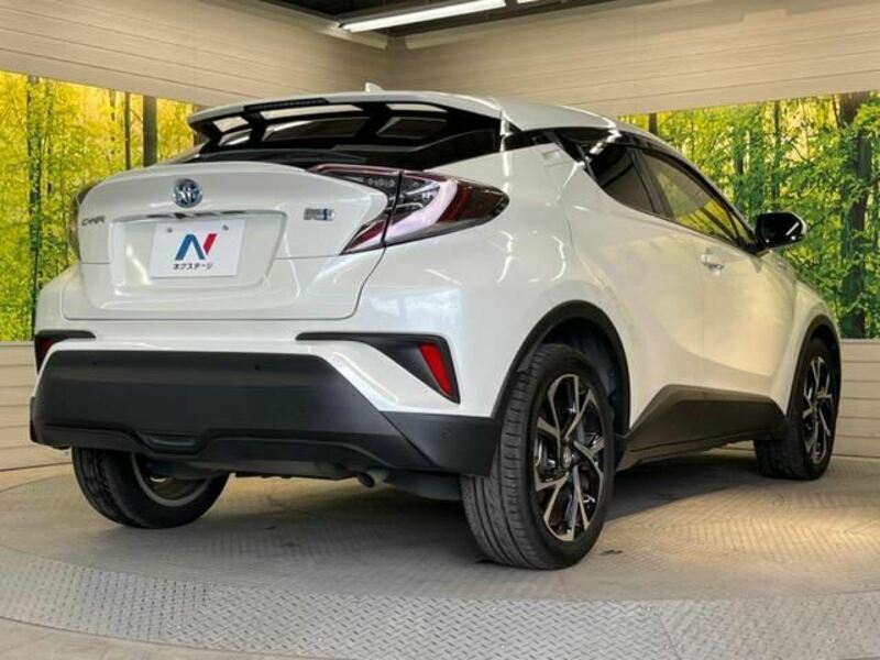 C-HR-1