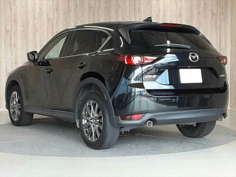 CX-5-19