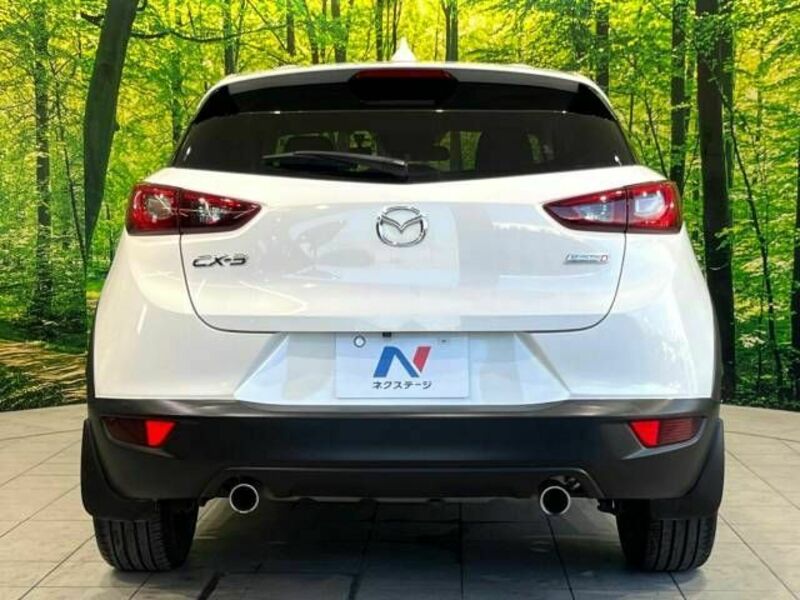 CX-3-15