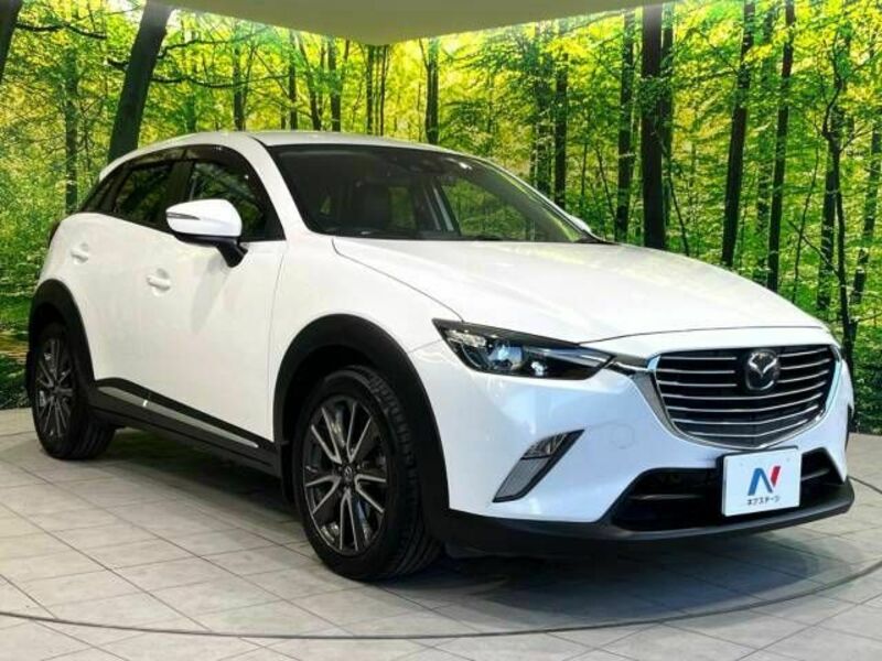 CX-3-16