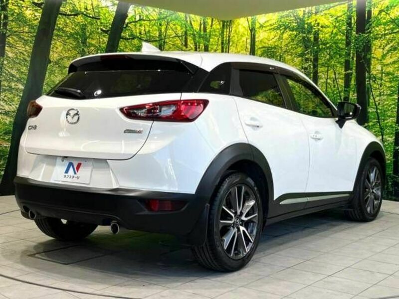 CX-3-17