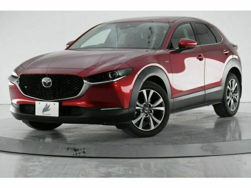 CX-30