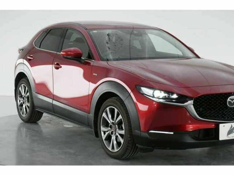 CX-30-4