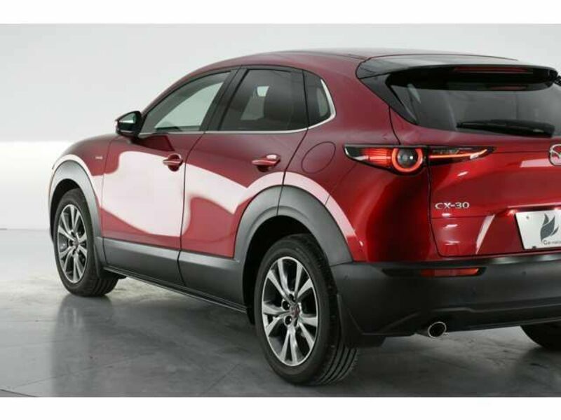 CX-30-6