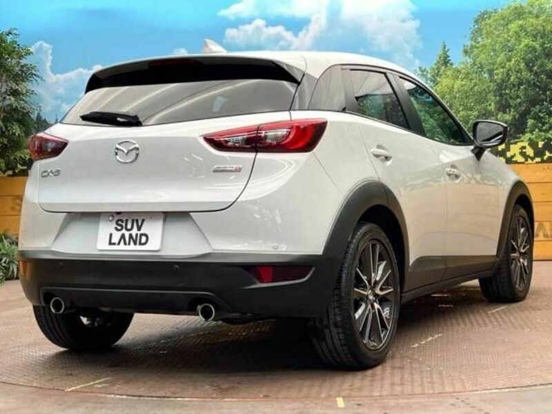 CX-3-17