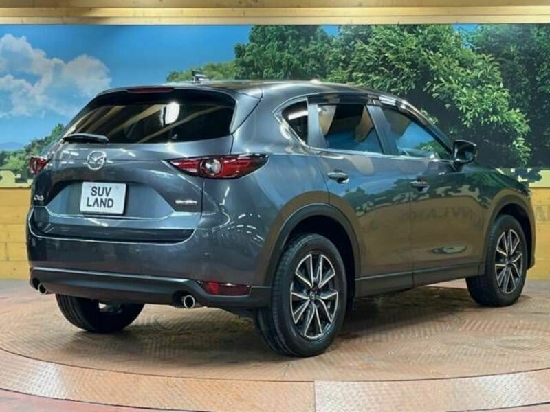 CX-5-18