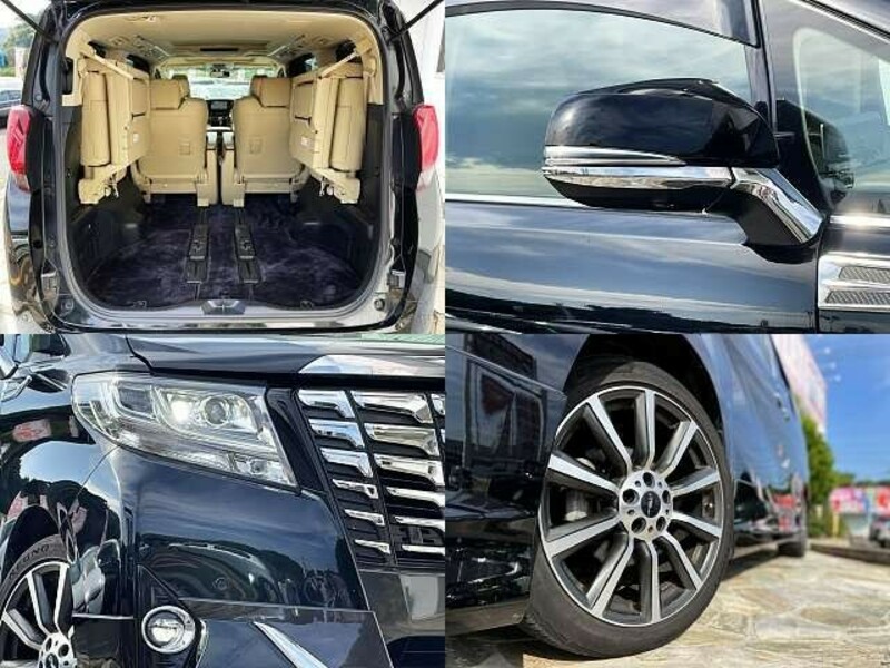 ALPHARD-6