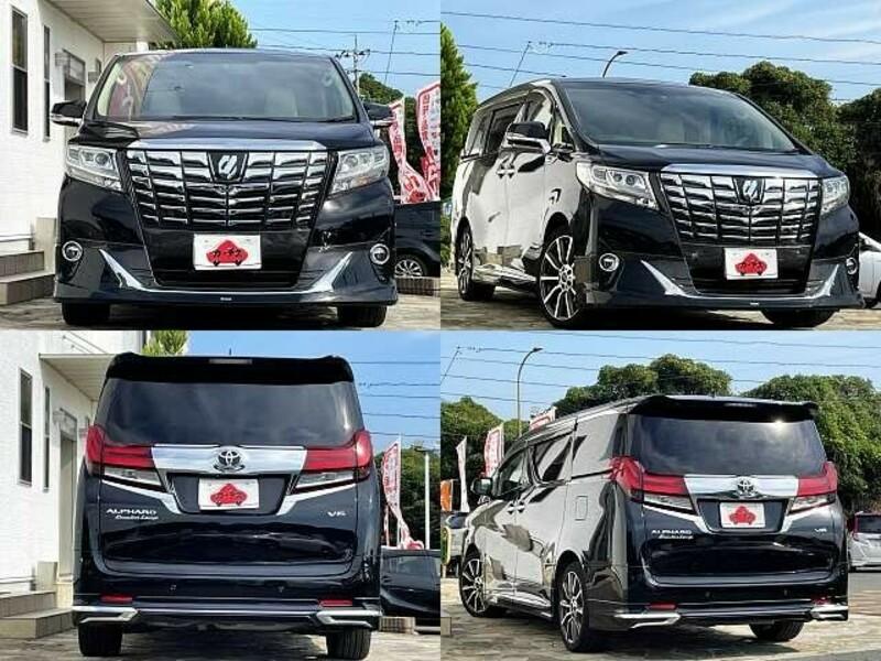 ALPHARD-8