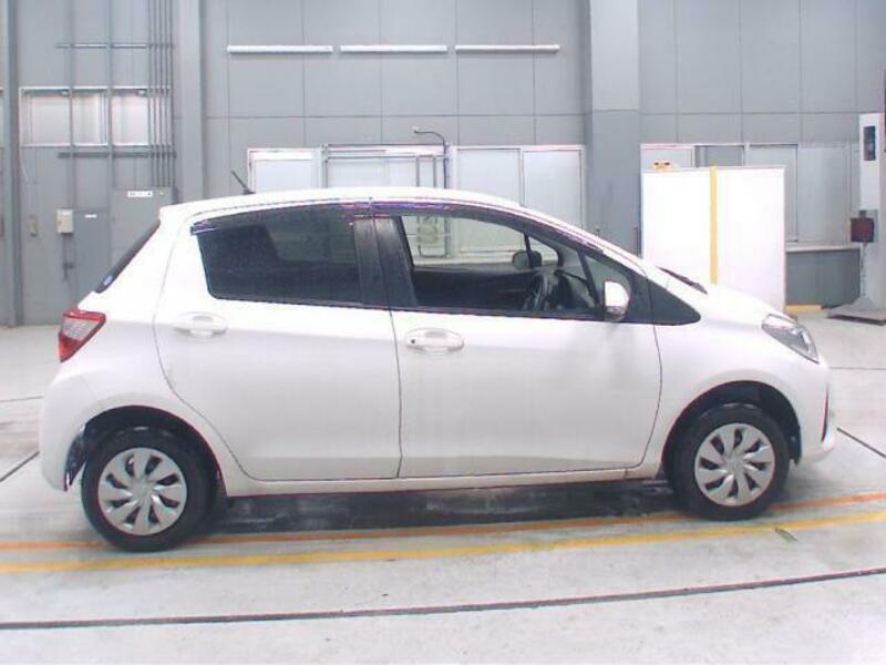 VITZ-3