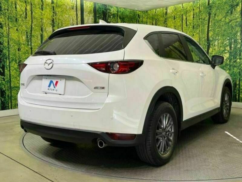 CX-5-17