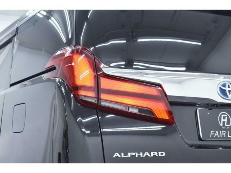 ALPHARD-6