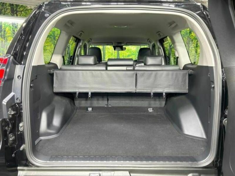 LAND CRUISER PRADO-10