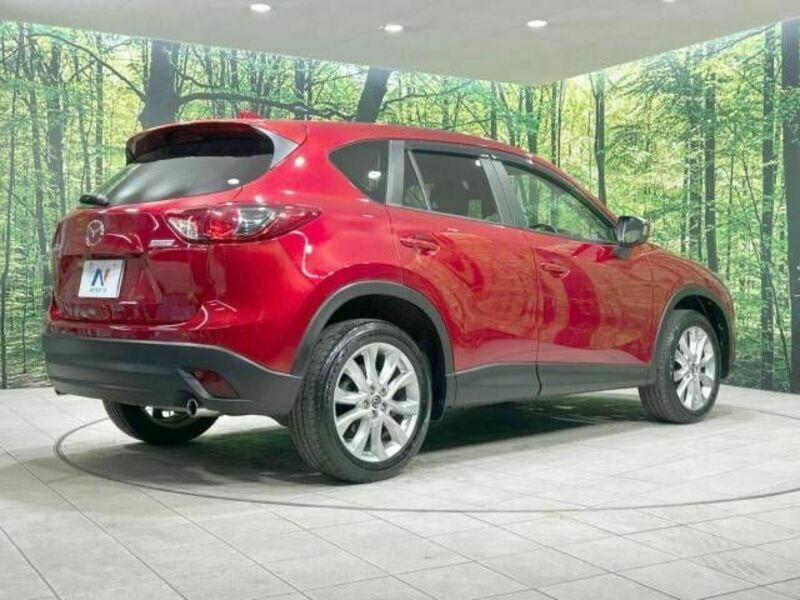 CX-5-17