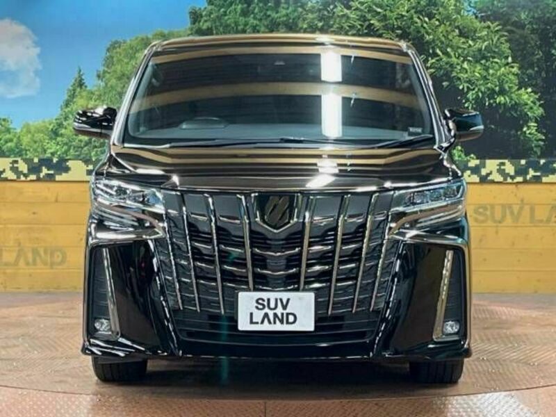 ALPHARD-16