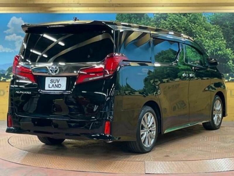 ALPHARD-19