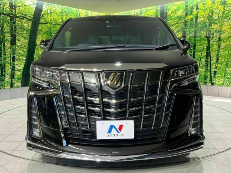 ALPHARD-14