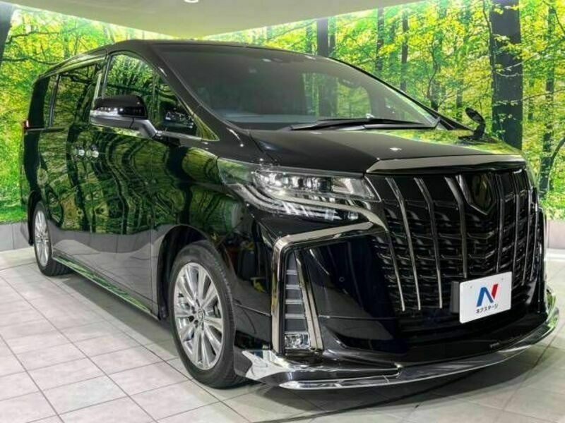 ALPHARD-16