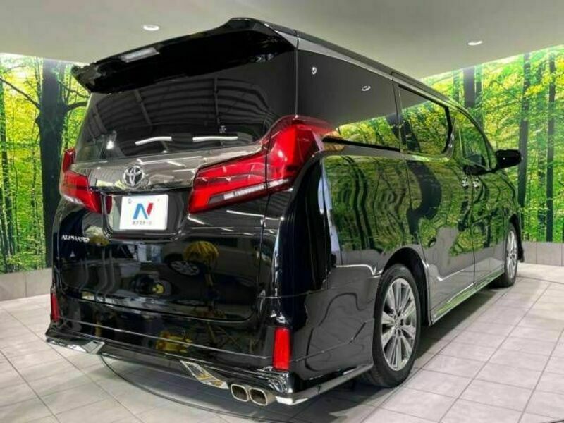 ALPHARD-17