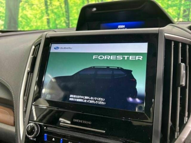 FORESTER-2