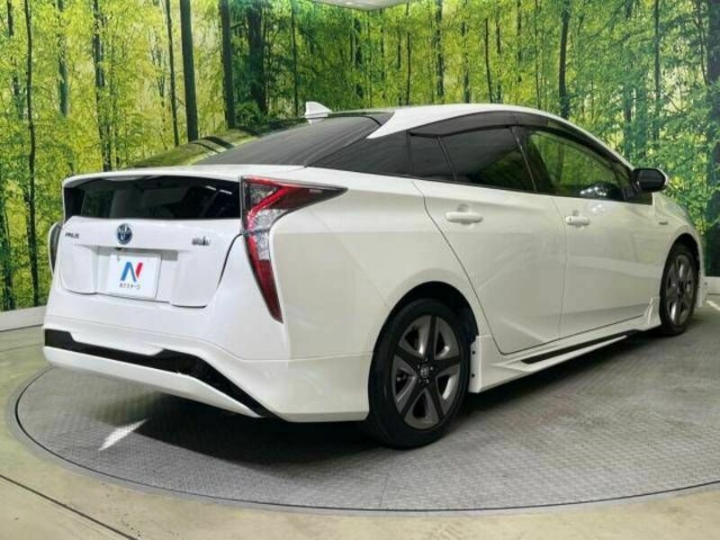 PRIUS-17