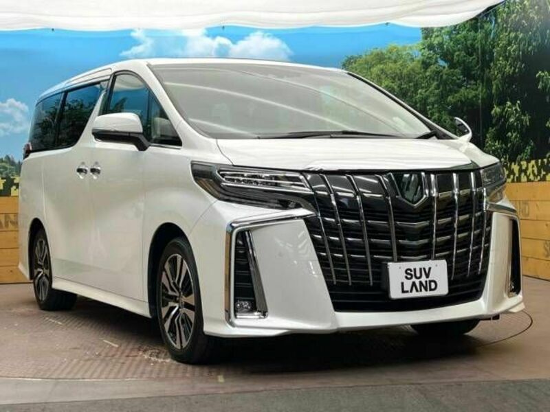 ALPHARD-17