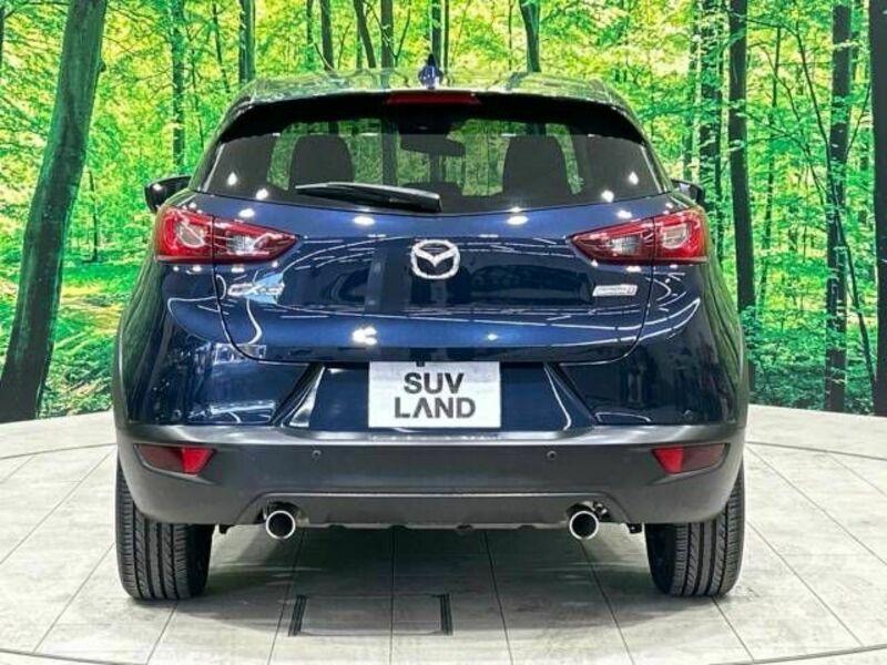 CX-3-15