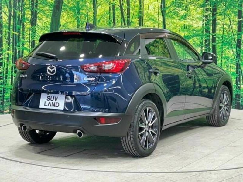 CX-3-17