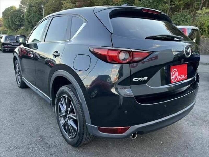 CX-5-18