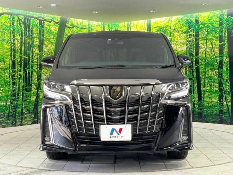 ALPHARD-15