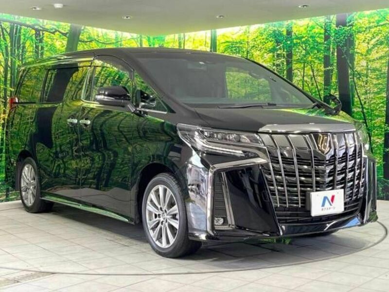 ALPHARD-17