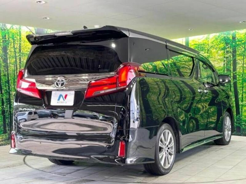 ALPHARD-18