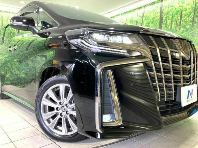 ALPHARD-12