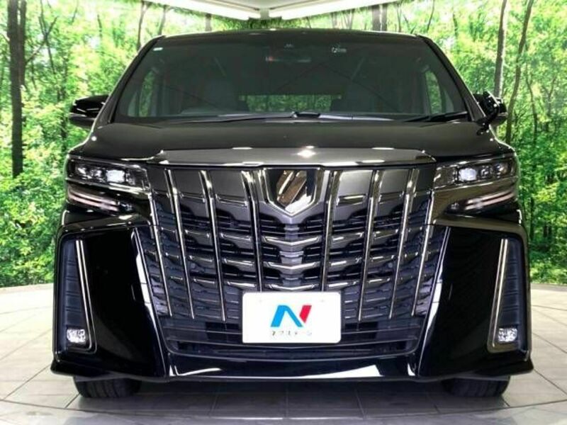 ALPHARD-15