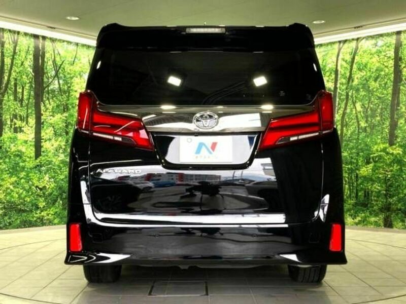 ALPHARD-16